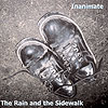 inanimate